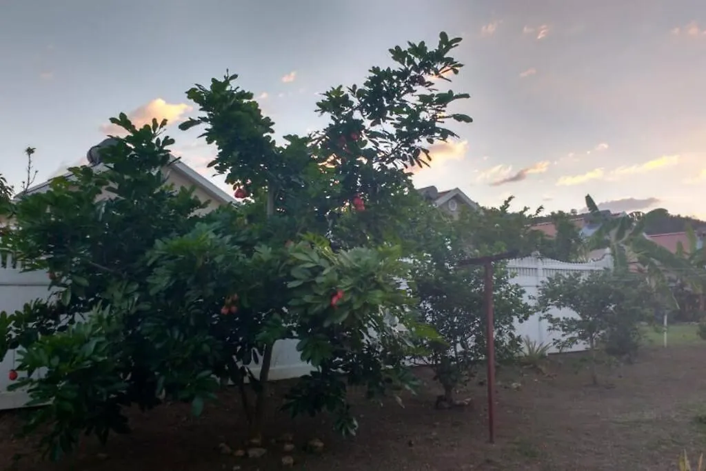 Comfortable Strategic Lodging Quarters Spanish Town 0*,